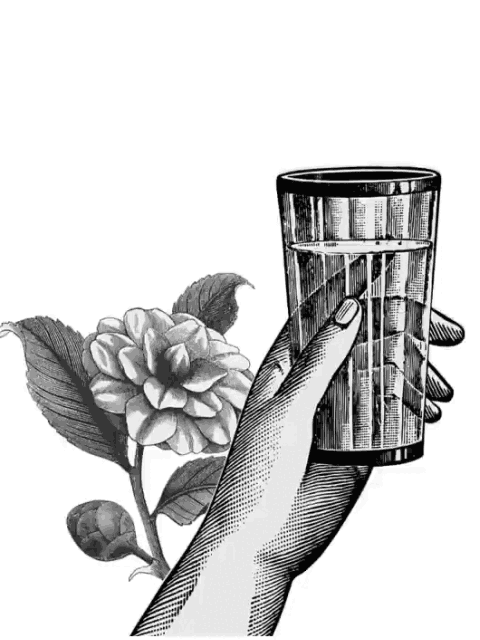 BITTERS